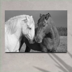 Horse Love Canvas Wall Art