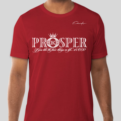 Prosper T-Shirt - Red / Small - T-Shirt