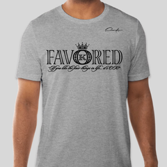 Favored T-Shirt - Gray / Small - T-Shirt