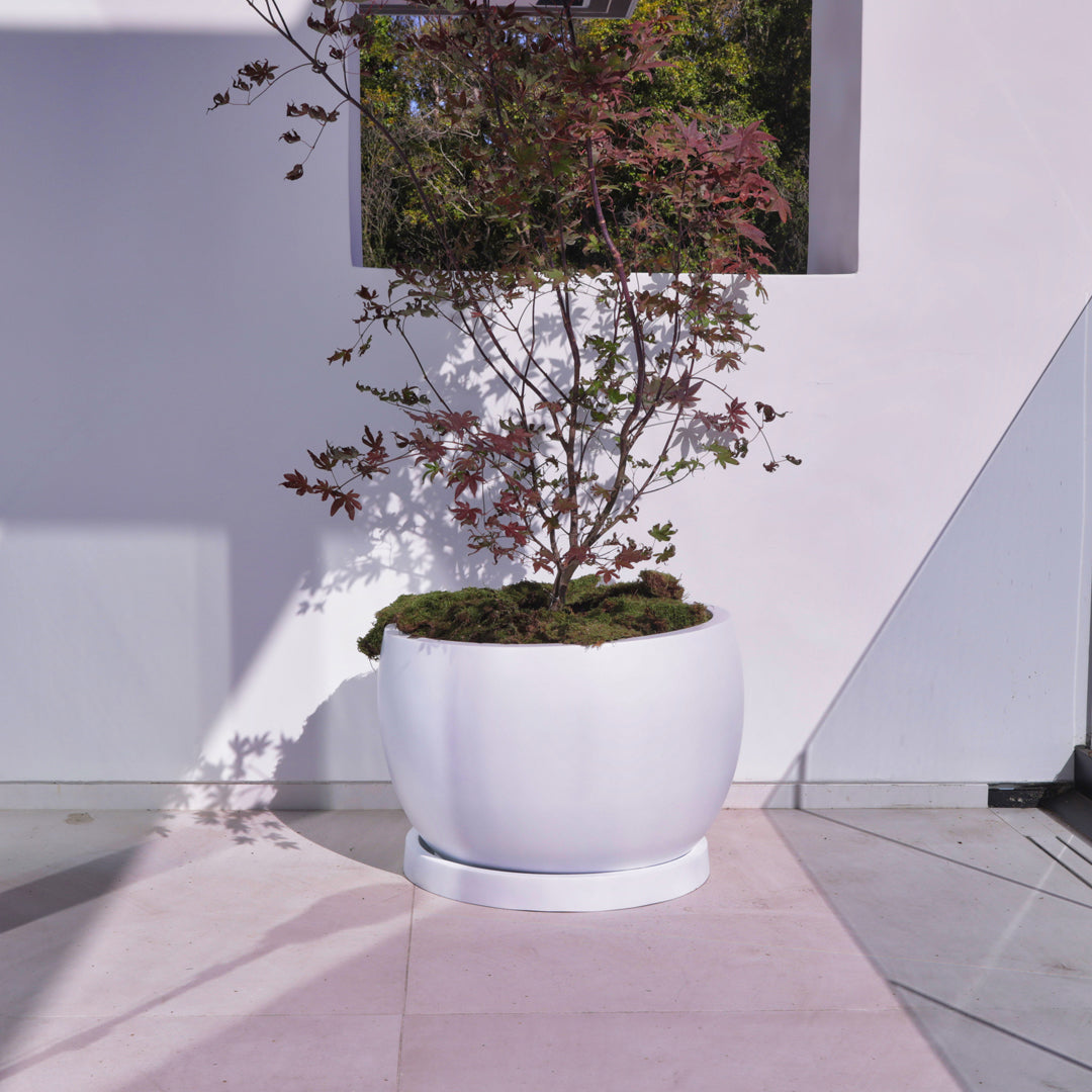 Corsica Lightweight Planter Fiber Series