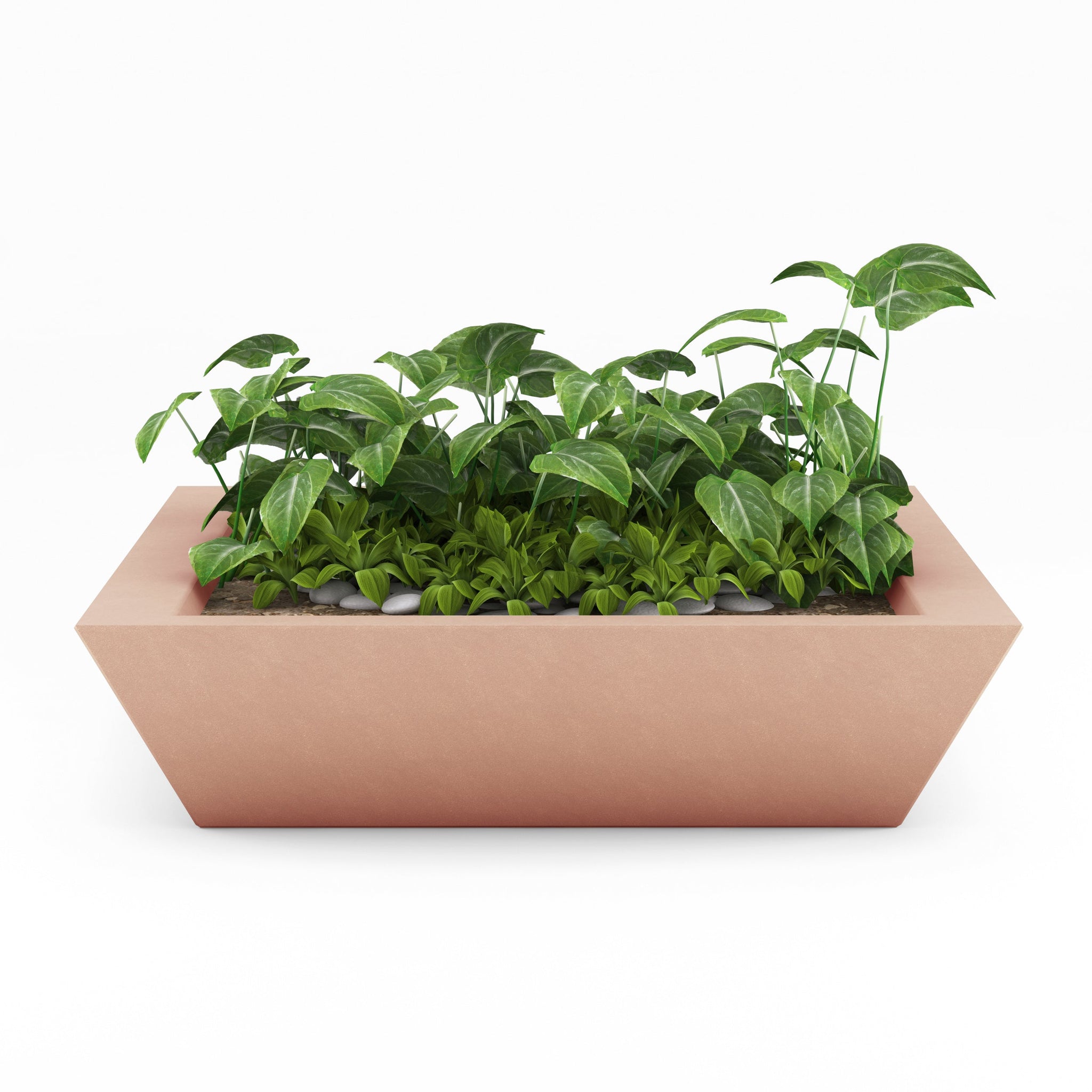 Newport Large Outdoor Shallow Planter