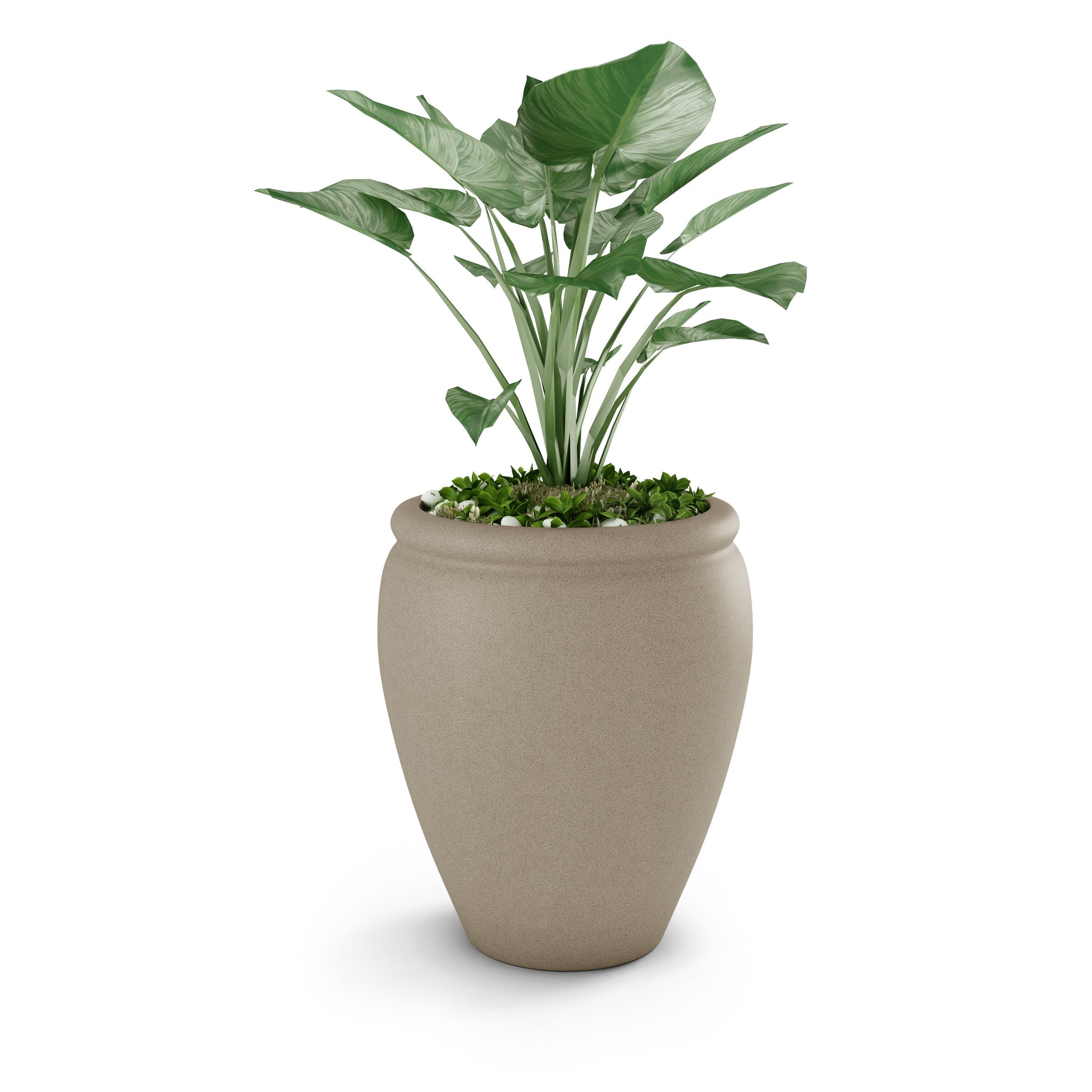 Bambino Large Planter