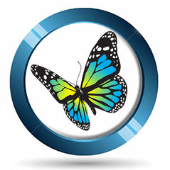 The Butterfly Effect - Default Title - Consultation