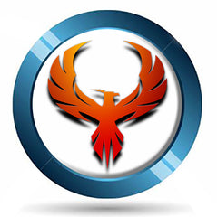 The Phoenix Project - Default Title - Consultation