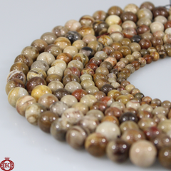 Petrified Wood Beads Smooth Round - 6mm - Beads