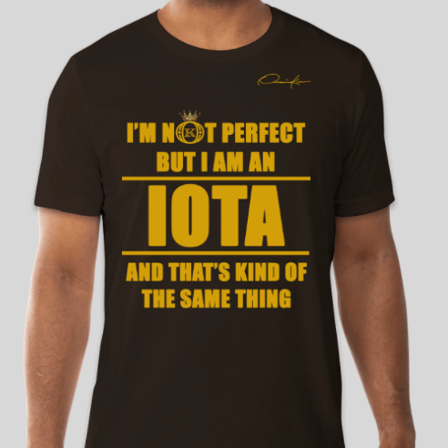 i'm not perfect but i am an iota phi theta t-shirt brown