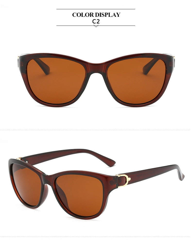 polarized bronze and brown sunglasses