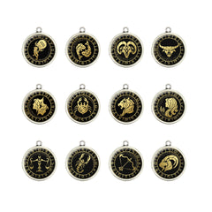 Zodiac Sign Charms - 1 Charm - Charms